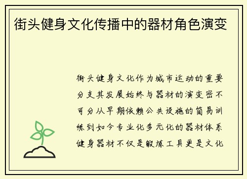街头健身文化传播中的器材角色演变